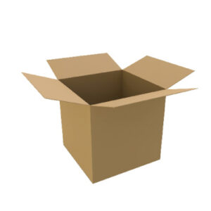 Caixa Cartao Duplo 350x250x200mm Pack 10un