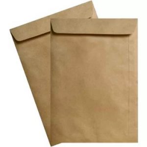 Envelopes Saco 229x324mm C4 Kraft Autodex - Pack com 50 unidades